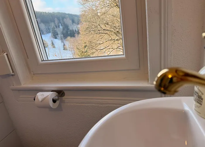 Antique Am Bahndamm * Schmiedefeld am Rennsteig